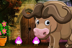 救援可爱的水牛