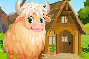 救援受困的白牦牛