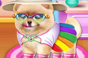 博美犬日间护理