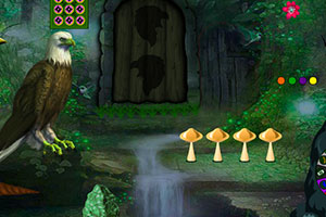 逃离奇幻鹰世界