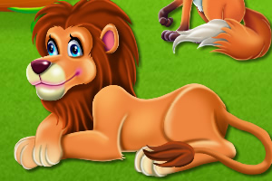 动物园房间清洁