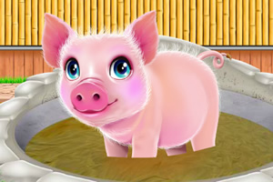 小猪温泉度假村