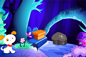 寻找奇幻森林的猫