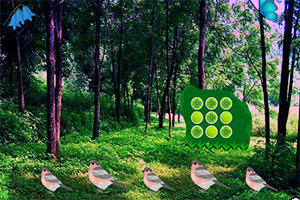 国家魔法森林逃亡