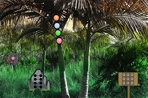 逃离棕榈树森林