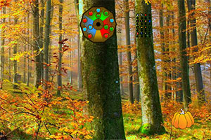 秋季森林小马逃脱