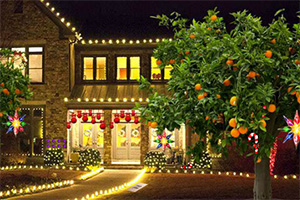 寻找遗失的圣诞装饰品