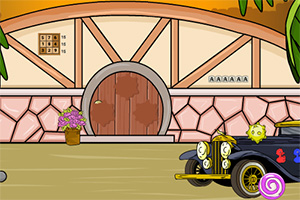 救援双胞胎姐妹