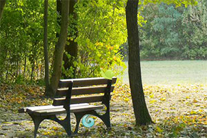 木长凳森林逃生