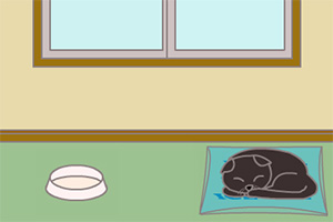 救援皮特先生179