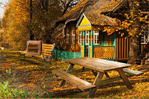 逃离秋季城市公园5