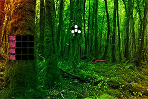 救援疯狂的小鸡