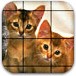 小猫拼图