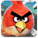 愤怒的小鸟