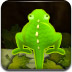 绿光蛙