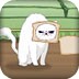喂小猫吃面包