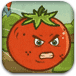 愤怒西红柿