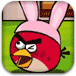 愤怒小鸟找鸟蛋