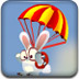 飞行兔子