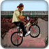 花式自行车无敌版