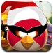 愤怒小鸟星空版