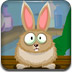 幸运的兔子