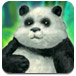 快乐熊猫