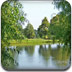 绿色池塘拼图