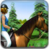 骑马拼图