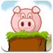 援救小猪