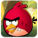 愤怒小鸟泡泡堂