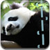 熊猫拼拼看