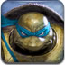 功夫忍者龟