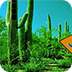 绿色森林逃脱2