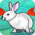 复活节白兔逃脱