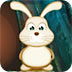 复活节兔子救援