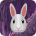 天使森林救兔兔