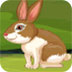 复活节兔子逃脱记2