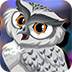 救援精灵猫头鹰