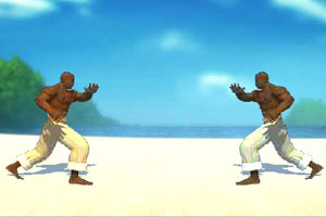 巴西格斗II共享版