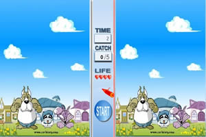 乡村动物找不同