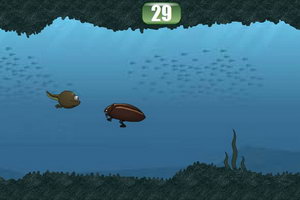 小鱼快游10000米