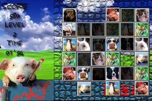 连连看之搞笑动物篇