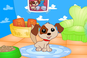 帮小狗设计房间