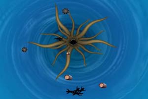 加勒比海盗2聚魂棺