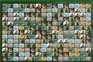 野生动物消消看