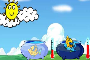 白鱼缸与黑鱼缸