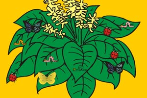 能干的生物学家