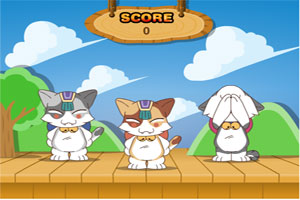 猫咪舞蹈大挑战