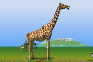 打企鹅之非洲之旅